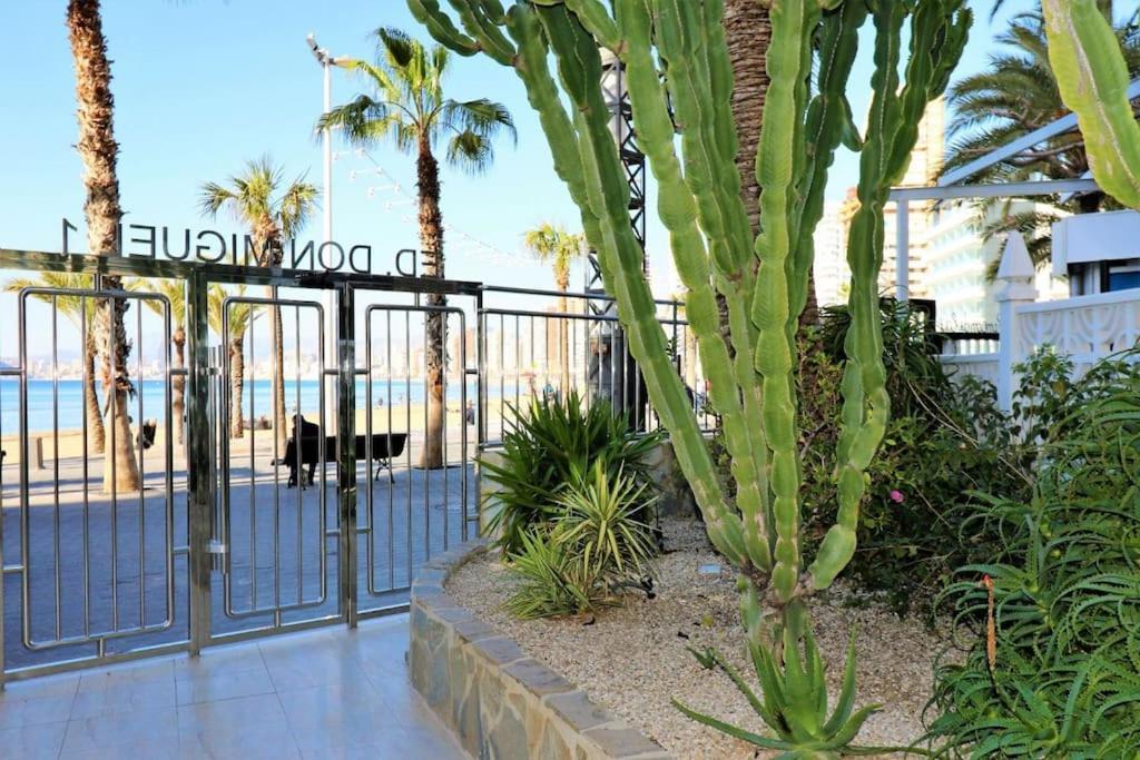 Luxurious 2-Bedroom Apt With Stunning Views, 1St Line On Levante Beach, Бенидорм Екстериор снимка